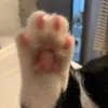 luvpjmkoook