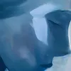 vivienne_monroe