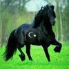 halaabduljawad6