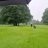 dallvid