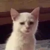 hhihhi_hiihii
