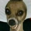 chamoyconchileylimon