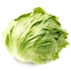 lettuce315261