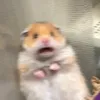 sxfty_nayeon24