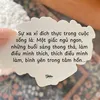 tmlng874