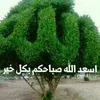 barakat.alrahman