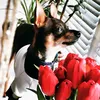 iryna__taison__1