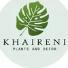 Khaireni Plants and Decor