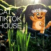 cat_tiktok_house