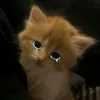 k1ll_y0ur_s9lf