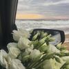 basma_noir.79