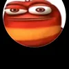 petarfloric5