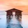 hamzahamz200