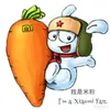 1m._n1c._3g1anna