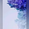 haixuan.123