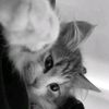 raa_lonely6