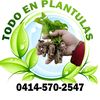 todo_en_plantulas