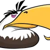 phoovb
