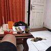 dasepwelhh