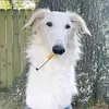 дурь