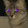 exoty