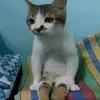 weanlelong