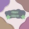 house_kittens.1