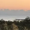 rydar_meyer28