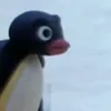 pingu_pangu0