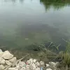 usenttyg