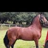 olgaluciapb231.com