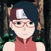 sarada.08