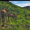 eyad_213