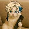 noah_zr