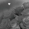 chaotic_zoe