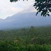 anakamak756