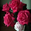 Nawar Vdo