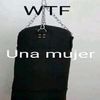 de_un._.pingaso