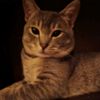 julian_m_208