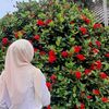 runiawww_