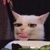 modhmod1_