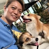 mama_roche_and_corgis