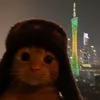 banhmiramthit