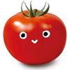 stevia_domado