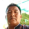 user4445457419075