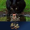 hadi.hiya14