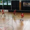 honz1cek_21