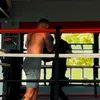 mattygymleach