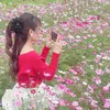hongthanh060