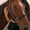 loly0115